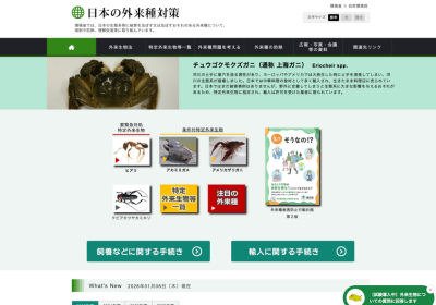 日本の外来生物対策：アライグマ・ハクビシン等（環境省）