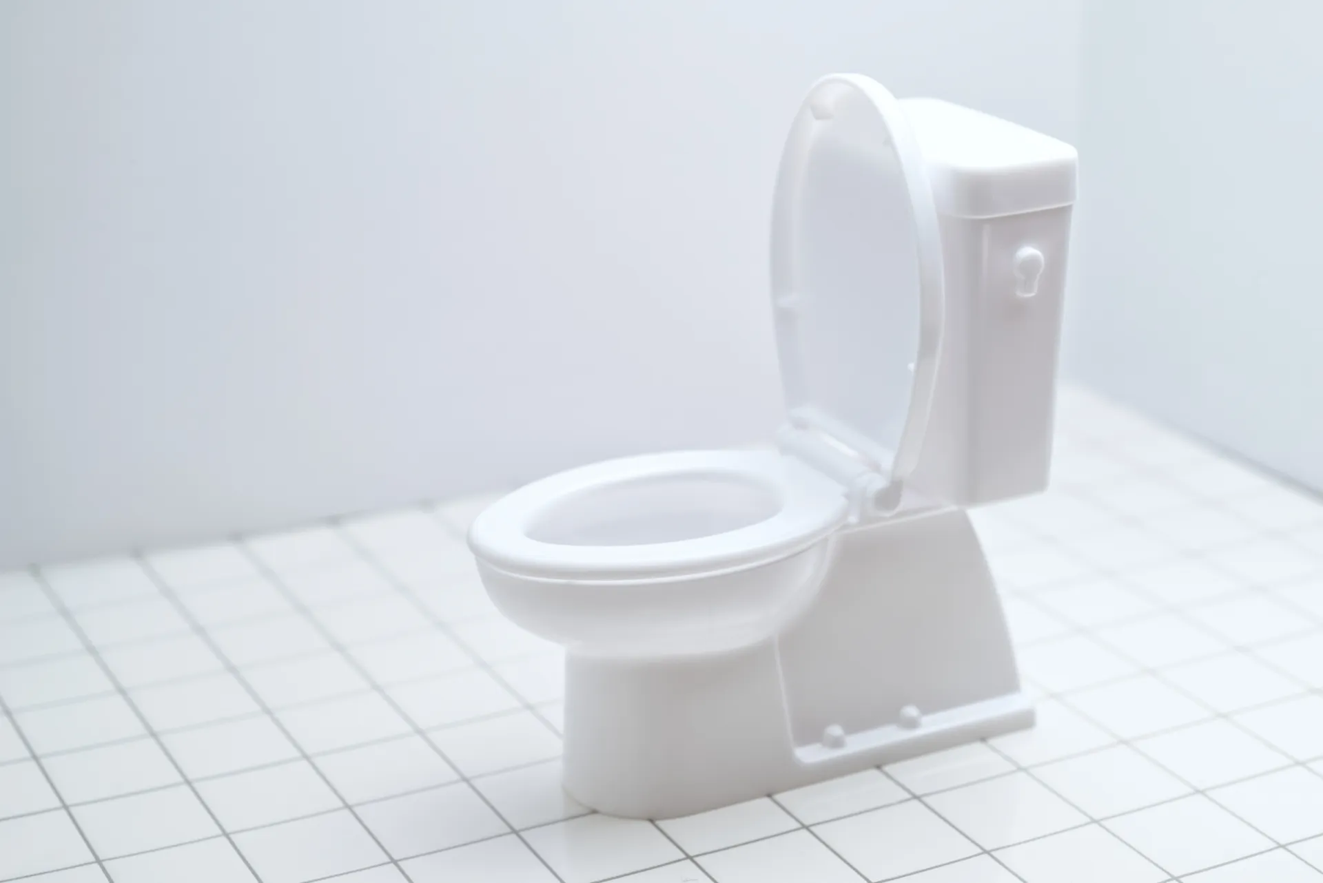 トイレが詰まってパニック！業者を呼ぶ前に試してほしい「お湯とバケツ」の裏ワザ