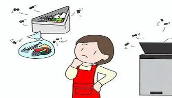 キッチンのゴミ箱周辺に湧く「コバエ」を元から絶つには？